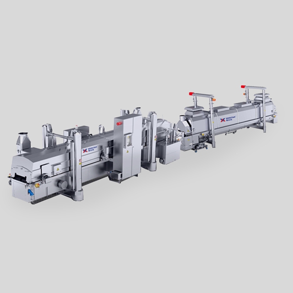 Frying Process Line Machine