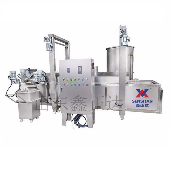 Continuous Frying Process Line